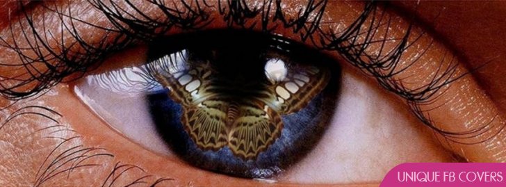 3d Butterfly Eye Facebook Covers78