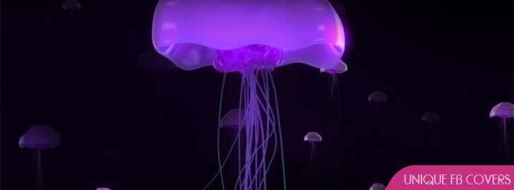 Purple Jelly Fish Facebook Cover